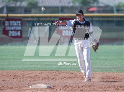 Thumbnail 3 in Basha @ Hamilton photogallery.