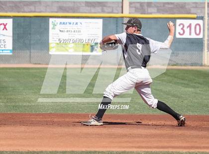 Thumbnail 2 in Basha @ Hamilton photogallery.