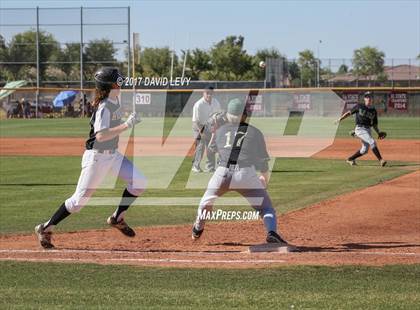 Thumbnail 1 in Basha @ Hamilton photogallery.
