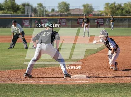 Thumbnail 3 in Basha @ Hamilton photogallery.