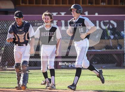 Thumbnail 1 in Basha @ Hamilton photogallery.