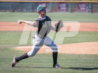 Thumbnail 1 in Basha @ Hamilton photogallery.