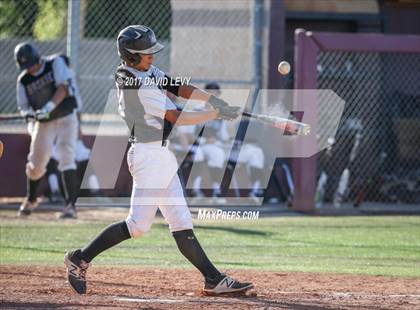 Thumbnail 2 in Basha @ Hamilton photogallery.