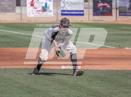 Thumbnail 2 in Basha @ Hamilton photogallery.
