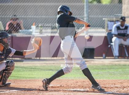Thumbnail 2 in Basha @ Hamilton photogallery.