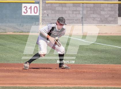 Thumbnail 1 in Basha @ Hamilton photogallery.