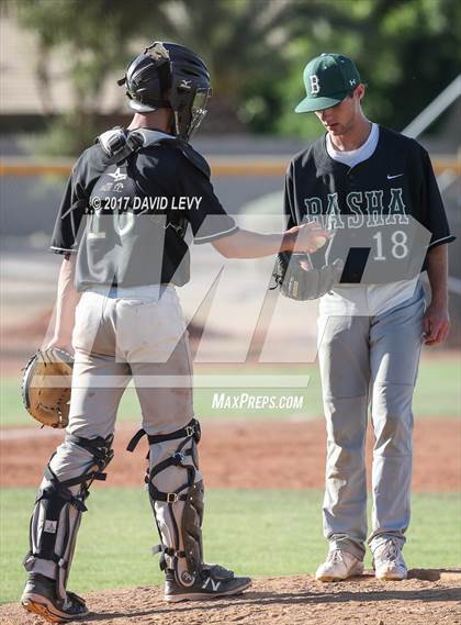 Thumbnail 2 in Basha @ Hamilton photogallery.