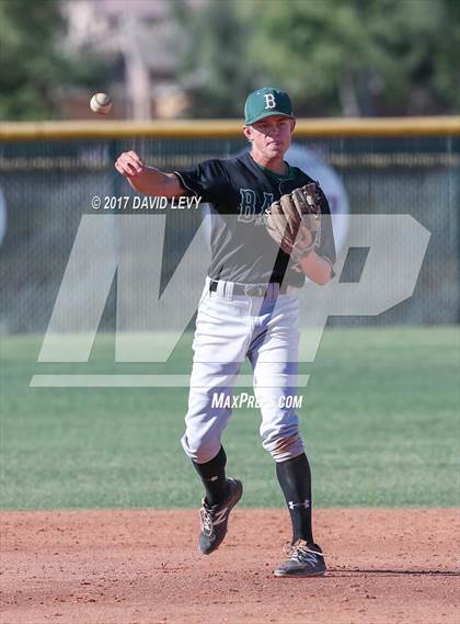 Thumbnail 3 in Basha @ Hamilton photogallery.