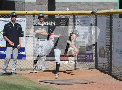 Thumbnail 2 in Basha @ Hamilton photogallery.