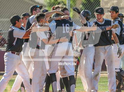 Thumbnail 3 in Basha @ Hamilton photogallery.
