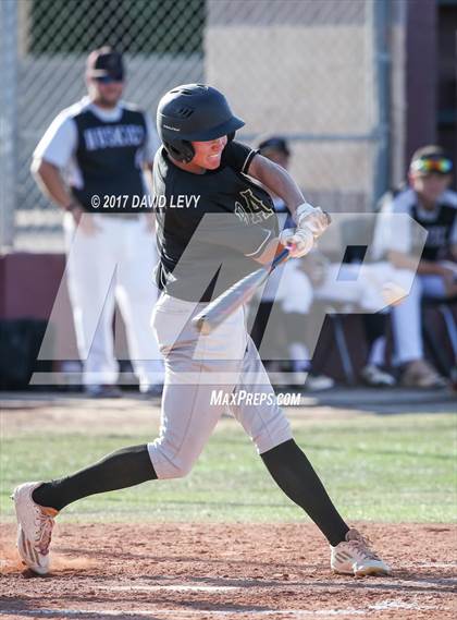 Thumbnail 1 in Basha @ Hamilton photogallery.