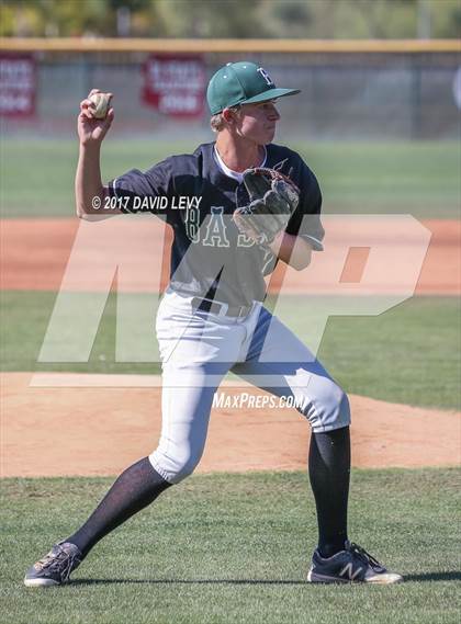 Thumbnail 2 in Basha @ Hamilton photogallery.