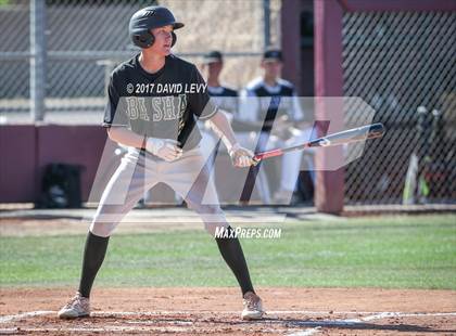 Thumbnail 3 in Basha @ Hamilton photogallery.