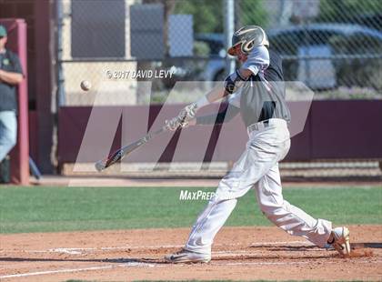 Thumbnail 3 in Basha @ Hamilton photogallery.