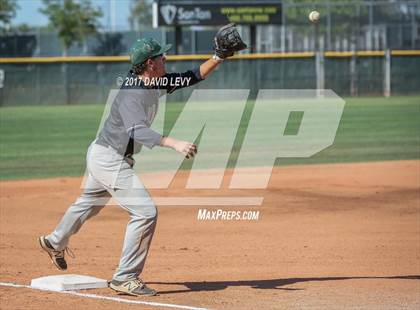 Thumbnail 1 in Basha @ Hamilton photogallery.