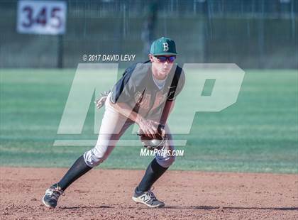 Thumbnail 3 in Basha @ Hamilton photogallery.