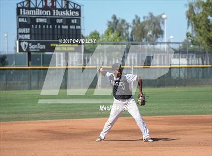 Thumbnail 3 in Basha @ Hamilton photogallery.