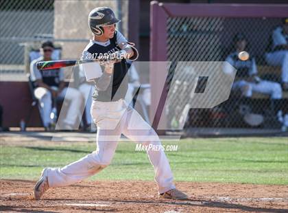 Thumbnail 1 in Basha @ Hamilton photogallery.