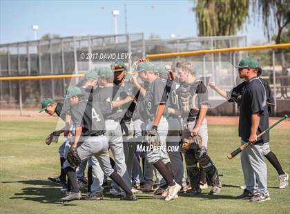 Thumbnail 2 in Basha @ Hamilton photogallery.