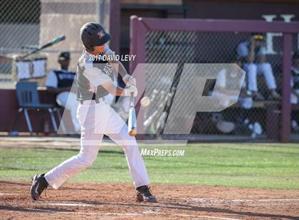 Thumbnail 3 in Basha @ Hamilton photogallery.