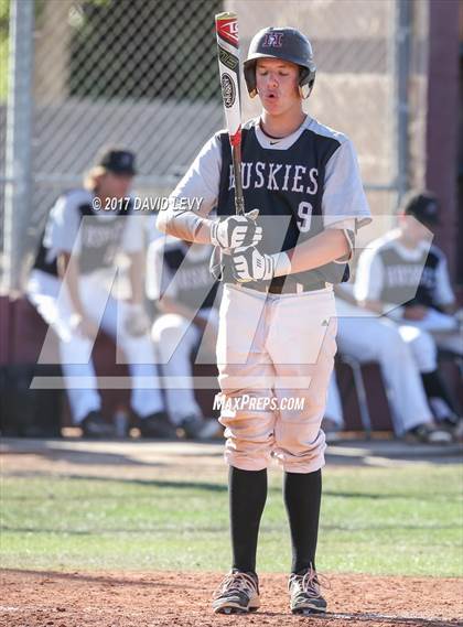 Thumbnail 3 in Basha @ Hamilton photogallery.