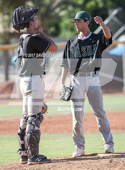 Thumbnail 3 in Basha @ Hamilton photogallery.