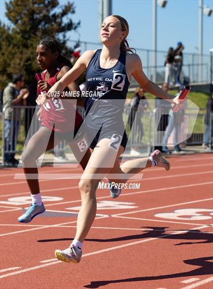 Thumbnail 2 in Hillsdale Fighting Knights Relays photogallery.