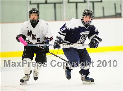 Thumbnail 2 in Shepaug Valley/Litchfield/Wamogo @ Windsor/East Granby photogallery.