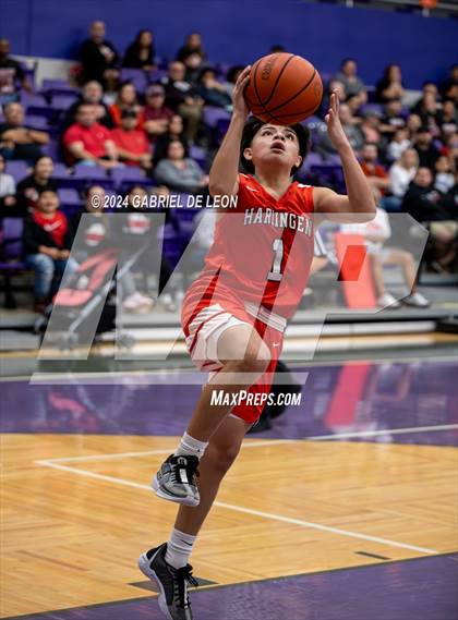 Thumbnail 1 in Harlingen @ Weslaco photogallery.