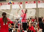 Photo from the gallery "Shasta @ Foothill"