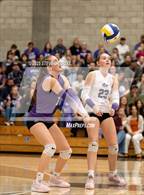 Photo from the gallery "Shasta @ Foothill"