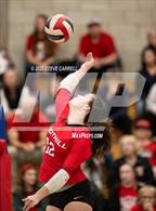 Photo from the gallery "Shasta @ Foothill"