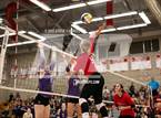 Photo from the gallery "Shasta @ Foothill"
