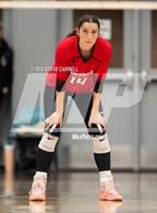 Photo from the gallery "Shasta @ Foothill"