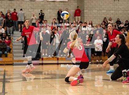 Thumbnail 2 in Shasta @ Foothill photogallery.