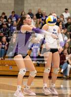 Photo from the gallery "Shasta @ Foothill"