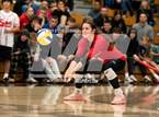 Photo from the gallery "Shasta @ Foothill"