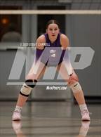 Photo from the gallery "Shasta @ Foothill"
