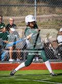 Photo from the gallery "Falcon @ The Classical Academy"