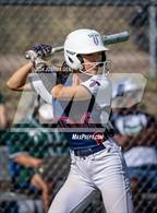 Photo from the gallery "Falcon @ The Classical Academy"