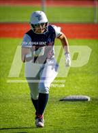 Photo from the gallery "Falcon @ The Classical Academy"