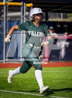 Photo from the gallery "Falcon @ The Classical Academy"