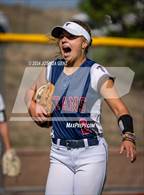 Photo from the gallery "Falcon @ The Classical Academy"