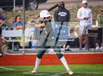 Photo from the gallery "Falcon @ The Classical Academy"