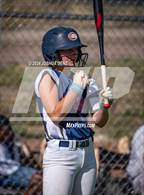 Photo from the gallery "Falcon @ The Classical Academy"