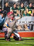 Photo from the gallery "Falcon @ The Classical Academy"