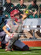 Photo from the gallery "Falcon @ The Classical Academy"