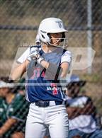 Photo from the gallery "Falcon @ The Classical Academy"