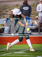 Photo from the gallery "Falcon @ The Classical Academy"