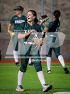Photo from the gallery "Falcon @ The Classical Academy"